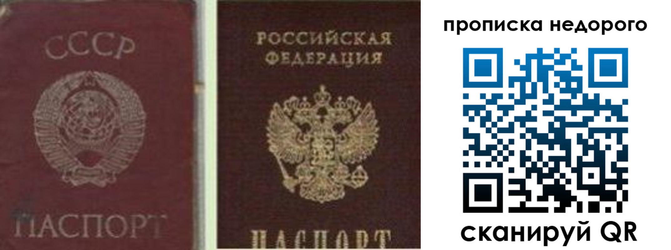 временная регистрация поиск в Озёрске